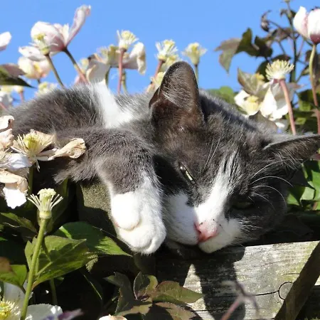 Le Pressoir Casa vacanze *