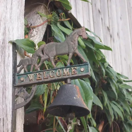 Le Pressoir Casa vacanze *