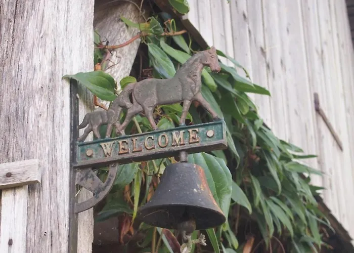 Le Pressoir Casa vacanze *